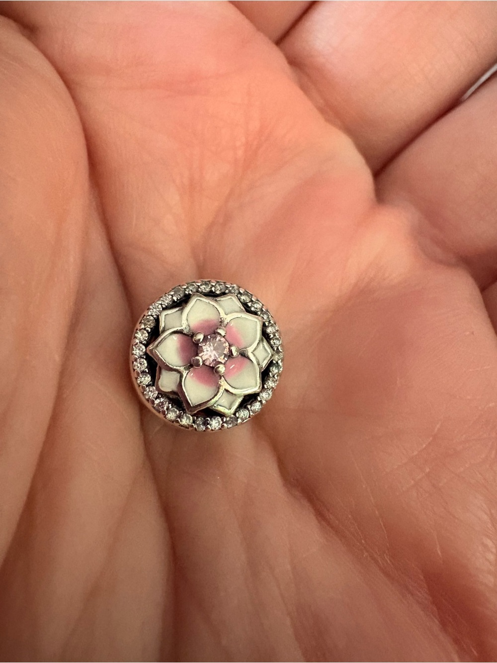 Linx s925 charm